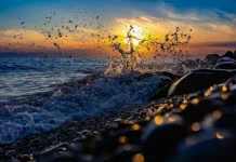 Лучшие зимние предложения для отдыха у моря в Краснодарском крае и Калининградской области luchshie zimnie predlozheniya dlya otdyha u morya v krasnodarskom krae i kaliningradskoj oblasti-gazetarf-ru-0