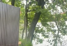 Минэкологии Москвы восстановит доступ к рекам Истра и Уча в Пушкинском округе minekologii moskvy vosstanovit dostup k rekam istra i ucha v pushkinskom okruge-gazetarf-ru-0