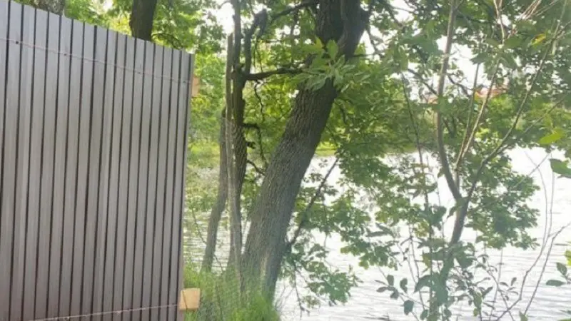 Доступ жителей к рекам в Пушкино и Истре восстановят по требованию Минэкологии