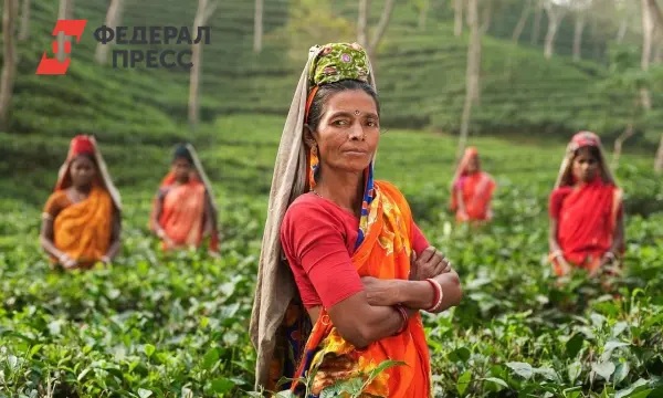 Минэкономразвития РФ прогнозирует импульс экономике от соглашения ЕАЭС и Индии-0