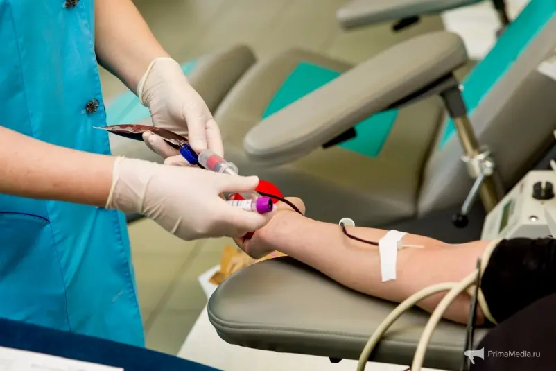 Фото: primamedia.ru