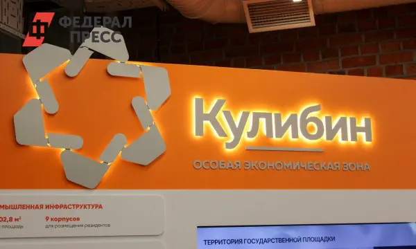 Нижегородская область основывает мультимодальный порт в ОЭЗ «Кулибин»-0