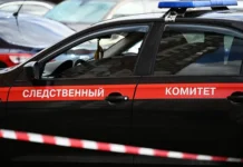 Пенсионерка из Омска помогла бездомному, её история заинтересовала СК России pensionerka iz omska pomogla bezdomnomu eyo istoriya zainteresovala sk rossii-gazetarf-ru-0