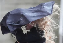 perm ozhidaet dozhdlivye vyhodnye a prognoz pnipu obeshhaet peremeny-gazetarf-ru-0