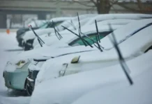 Примгидромет предупреждает о временных сложностях из-за активного циклона в Приморье primgidromet preduprezhdaet o vremennyh slozhnostyah izza aktivnogo cziklona v primore-gazetarf-ru-0