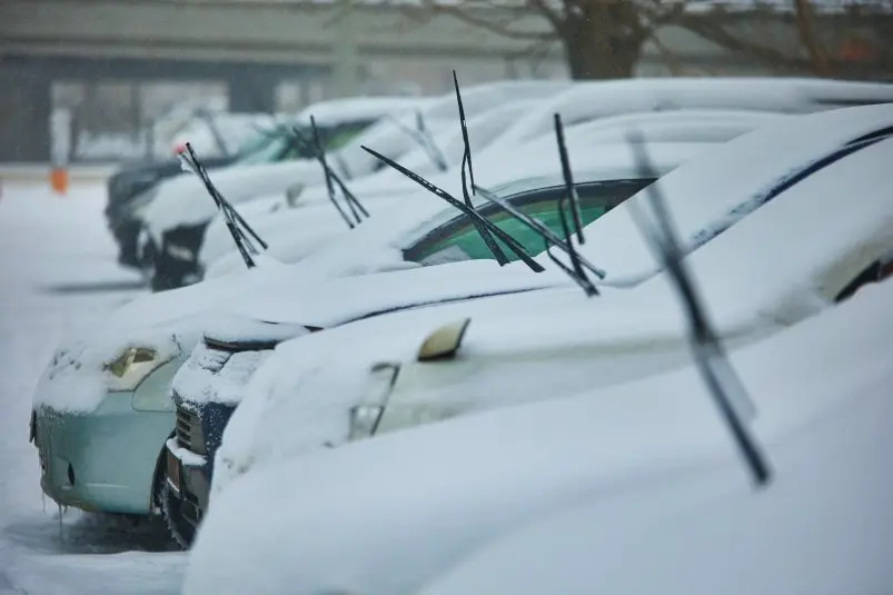 Фото: primamedia.ru