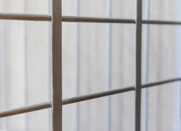 Фото: primamedia.ru