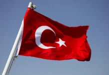 raskrytie novyh detalej v poiskah dari luchkinoj i eyo syna maksima v stambule-gazetarf-ru-0