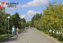 Роман Вильфанд прогнозирует аномально теплое начало ноября в Москве roman vilfand prognoziruet anomalno teploe nachalo noyabrya v moskve-gazetarf-ru-0