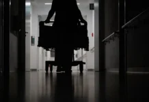 Российский турист в Паттайе пострадал от трансгендеров, но ситуацию разрешили быстро rossijskij turist v pattaje postradal ot transgenderov no situacziyu razreshili bystro-gazetarf-ru-0