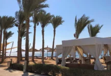 Россияне потеряли квартиры в Египте, отель Royal Oasis в Шарм-эш-Шейхе rossiyane poteryali kvartiry v egipte otel v sharmeshshejhe-gazetarf-ru-0