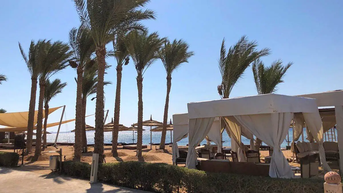 В Египте у россиян отобрали купленные 15 лет назад элитные квартиры