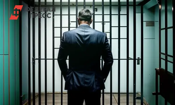 Рязоблсуд и Советский райсуд поддержали продление ареста Артема Никитина-0