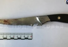 sledstvennyj komitet rossii prokommentiroval delo s nozhom v egorevske-gazetarf-ru-0