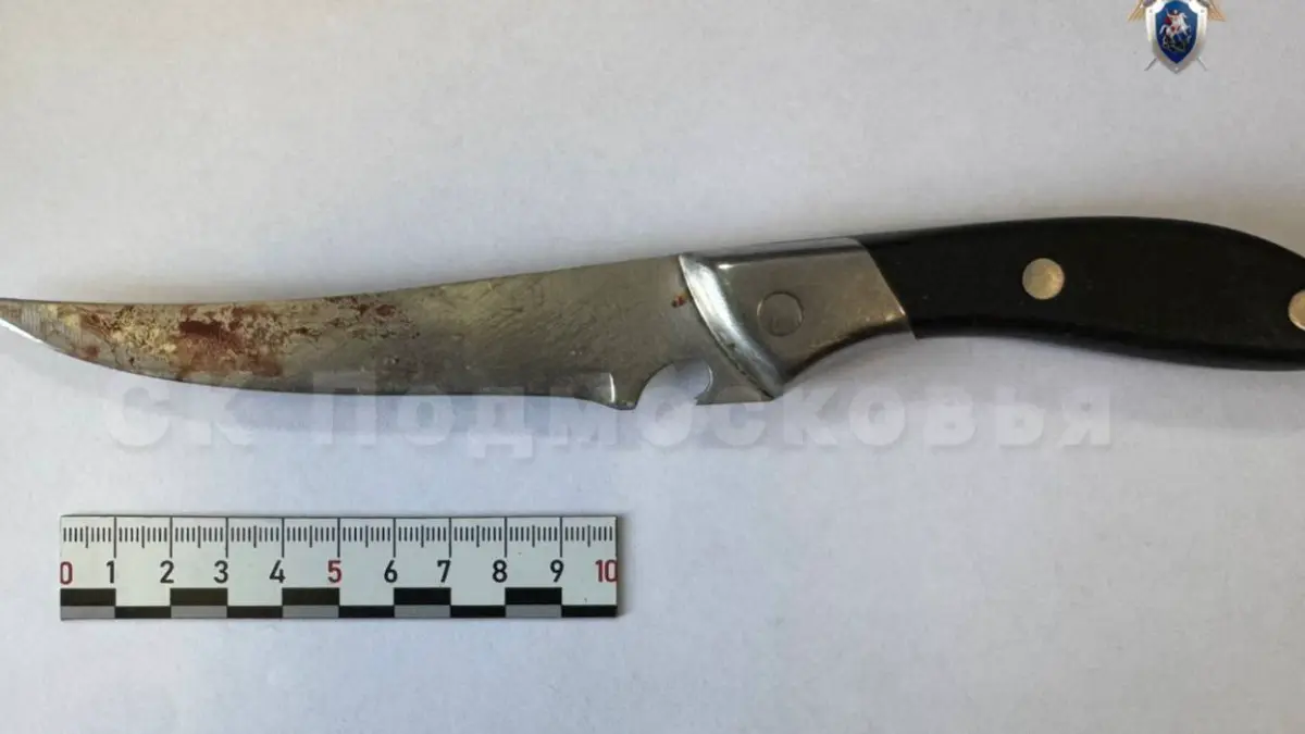 Суд арестовал женщину, напавшую на сожителя с ножом в Подмосковье