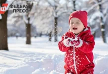 Солнечное потепление настраивает Хабаровский край на позитивный лад solnechnoe poteplenie nastraivaet habarovskij kraj na pozitivnyj lad-gazetarf-ru-0