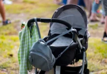 Статистика, поддержка и позитивные тенденции для многодетных семей Приморья statistika podderzhka i pozitivnye tendenczii dlya mnogodetnyh semej primorya-gazetarf-ru-0