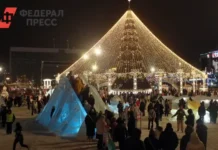 svetlana bessarab iz gosdumy soobshhila o rekordnyh novogodnih vyhodnyh 2026 goda-gazetarf-ru-0