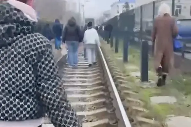 Вводная картинка