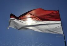 В Индонезии и Вьетнаме быстро реагируют на спасение во время паводков v indonezii i vetname bystro reagiruyut na spasenie vo vremya pavodkov-gazetarf-ru-0