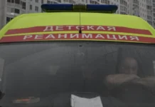 В Красногорске возбуждено уголовное дело после инцидента с взрывчаткой у детского сада v krasnogorske vozbuzhdeno ugolovnoe delo posle inczidenta s vzryvchatkoj u detskogo sada-gazetarf-ru-0