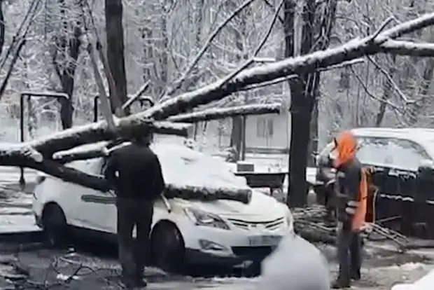 Вводная картинка