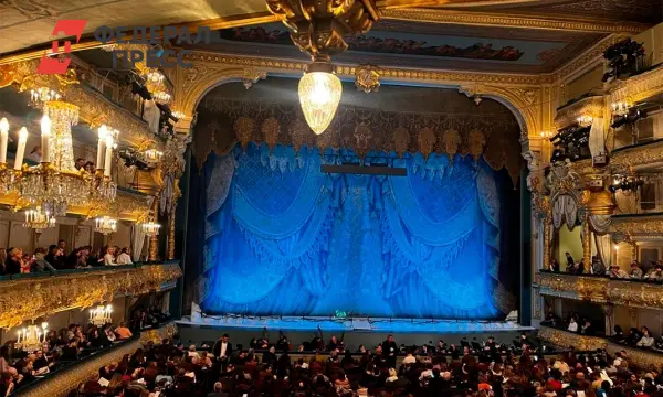 В Петербурге установлены рекорды посещаемости театров и музеев-0