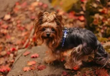 В Приморском крае солнечная погода: до +10°C у Владивостока и +14°C в Находке и Уссурийске v primorskom krae solnechnaya pogoda do 10 u vladivostoka i 14 v nahodke i ussurijske-gazetarf-ru-0