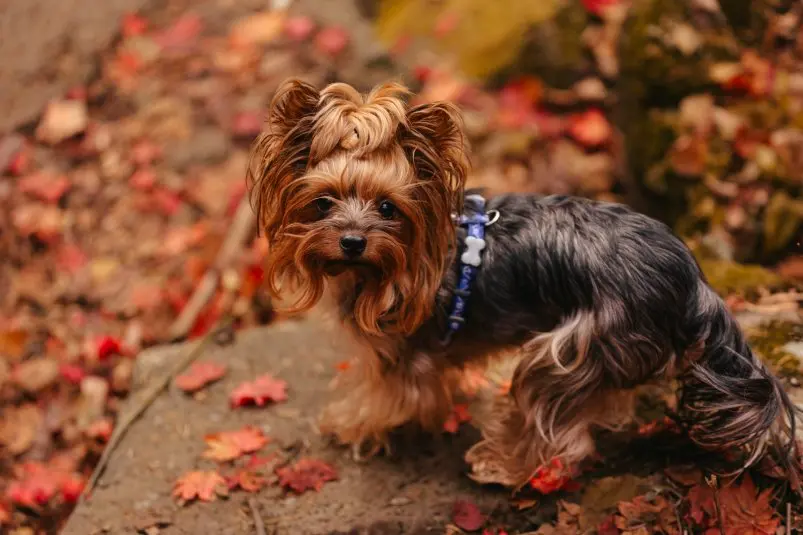 Фото: primamedia.ru