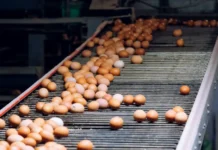 В Приморском крае в октябре подорожали яйца, бензин и транспортные билеты v primorskom krae v oktyabre podorozhali yajcza benzin i transportnye bilety-gazetarf-ru-0