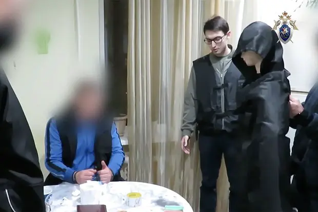 Вводная картинка