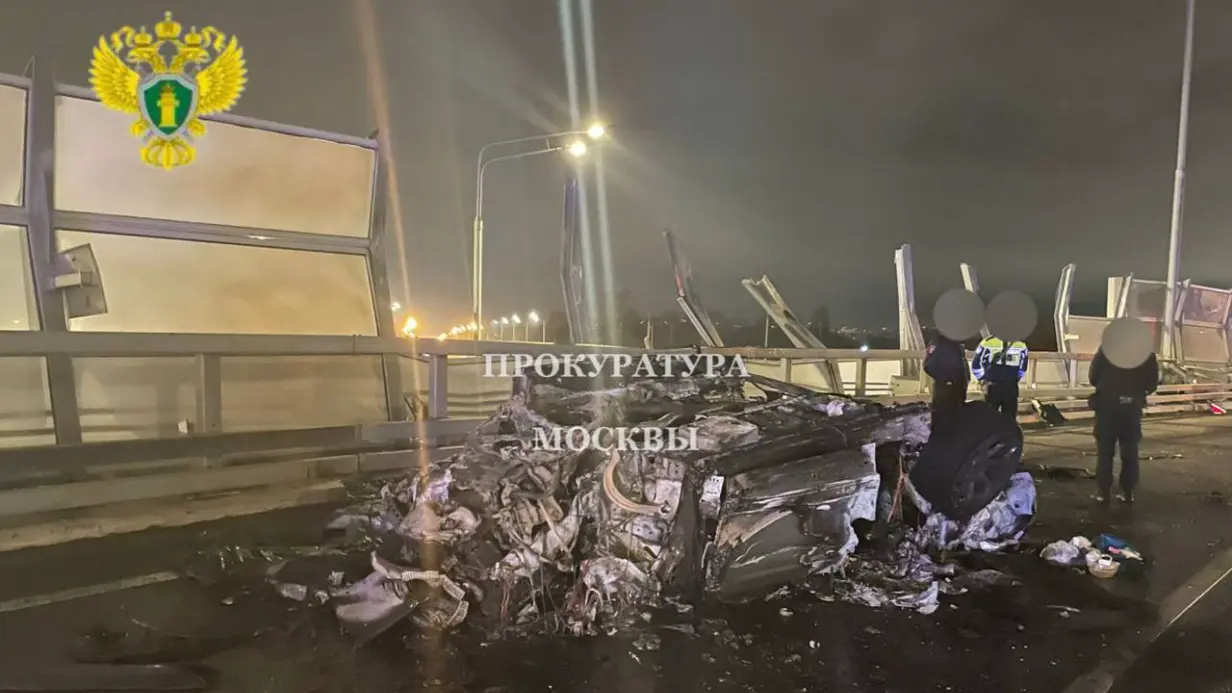 В аварии с Lamborghini пропал принадлежавший погибшему криптобизнесмену чихуахуа