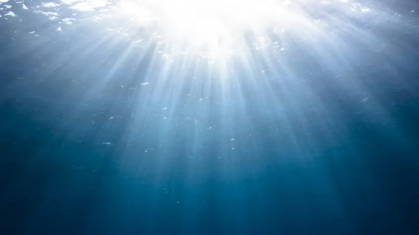 РАН рассмотрит проект переброски в Донбасс вод северных рек