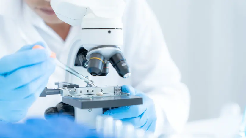 В России инициировали создание этического «кодекса бессмертия»