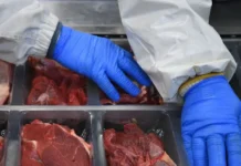 vsemirnyj bank soobshhaet o rekordnyh czenah na govyadinu na rynke-gazetarf-ru-0