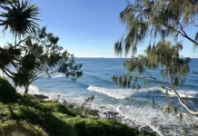 17-летняя девушка из Австралии трагически погибла на пляже Моффат у Кораллового моря 17letnyaya devushka iz avstralii tragicheski pogibla na plyazhe moffat u korallovogo morya-gazetarf-ru-0