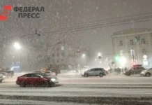 Аэропорт Омска оперативно решает вопросы с рейсами при непогоде aeroport omska operativno reshaet voprosy s rejsami pri nepogode-gazetarf-ru-0