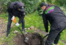 Инициатива Алексея Вихарева способствует возрождению сенсорного сада в Харитоновском парке aleksei viharev sensorni sad3_gazetarf