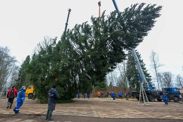 Вводная картинка