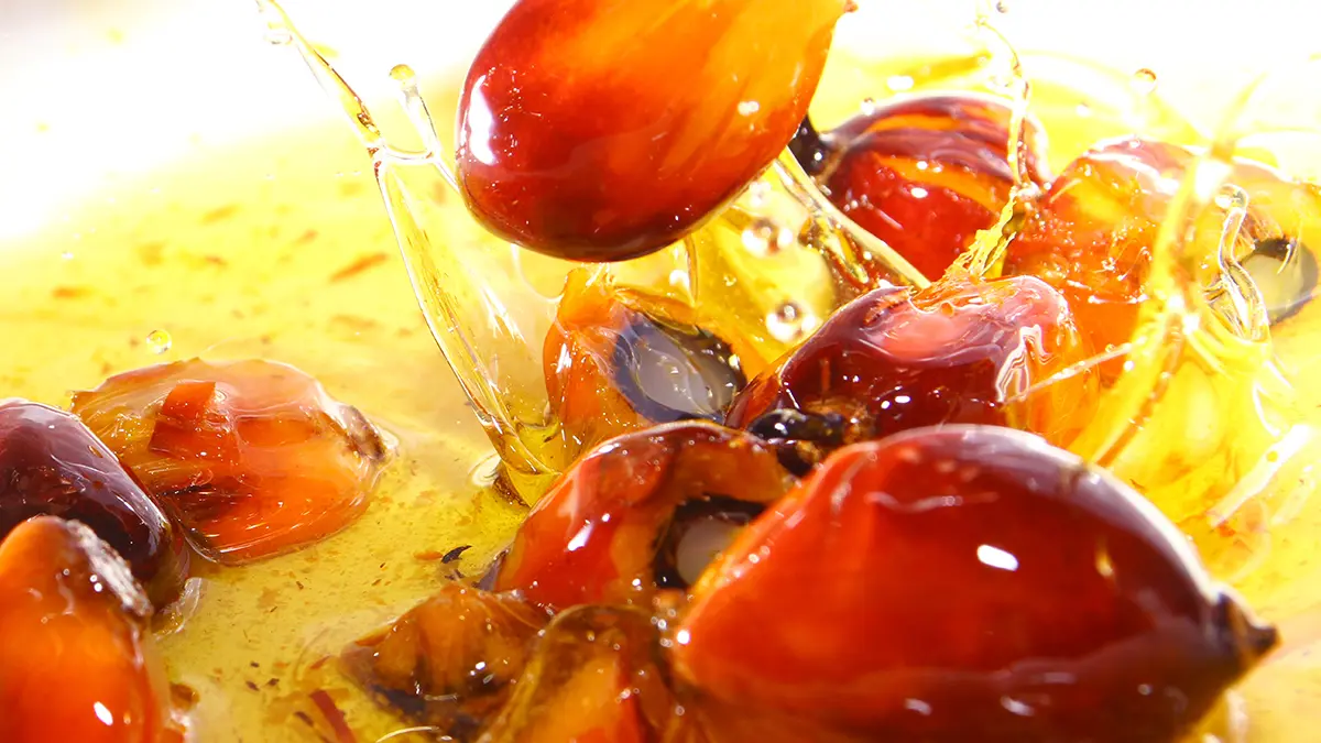 Правительство: Законы о пальмовом масле обеспечивают безопасность продукции