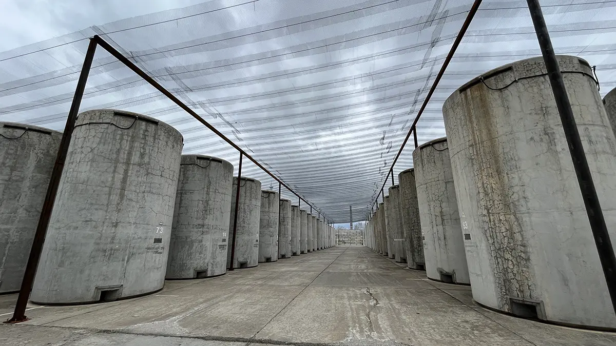 Гендиректор МАГАТЭ Гросси заявил о перемирии между Россией и Украиной возле ЗАЭС