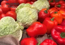 Инфляция в Свердловской области снижается уже девять месяцев подряд inflyacziya v sverdlovskoj oblasti snizhaetsya uzhe devyat mesyaczev podryad-gazetarf-ru-0