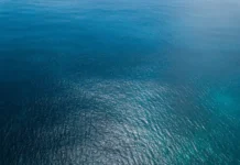 МГУ и партнёры открывают перспективные методы очистки океана от антибиотиков mgu i partnyory otkryvayut perspektivnye metody ochistki okeana ot antibiotikov-gazetarf-ru-0