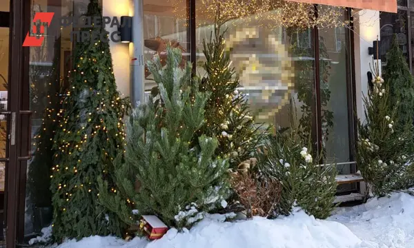 Минприроды Рязани приглашает предпринимателей участвовать в торгах-0