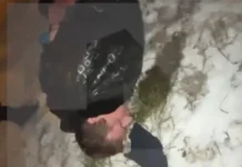 Отважный прохожий спас пострадавшую от злоумышленника в парке Измайлово otvazhnyj prohozhij spas postradavshuyu ot zloumyshlennika v parke izmajlovo-gazetarf-ru-0