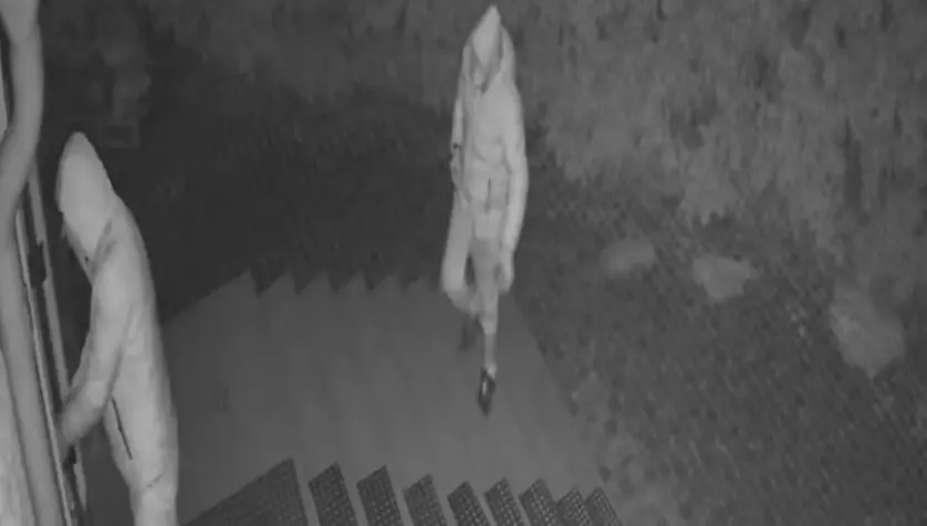 Бывшие зэки пробрались в дом к жительнице Подмосковья и ранили ее ножом