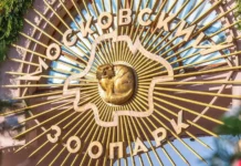 Сергей Гершов и команды фондов спасают Белушу и Пургу в сафари-парке Бердянска sergej gershov i komandy fondov spasayut belushu i purgu v safariparke berdyanska-gazetarf-ru-0