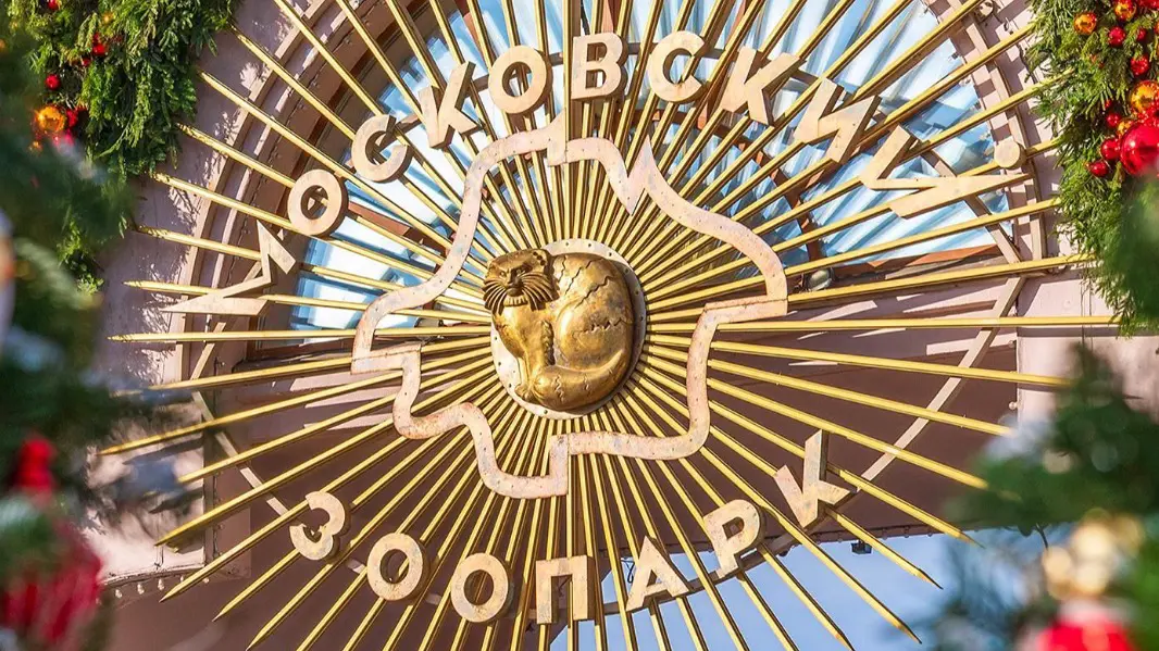 Ветврач Московского зоопарка спас двух хищников в сафари-парке Бердянска