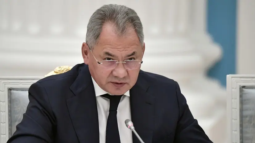 Шойгу заявил о появлении «зародышей НАТО» на Востоке