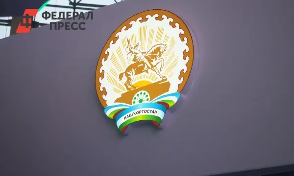 Светлана Малинская представила позитивную динамику бюджета Курултая Башкирии-0